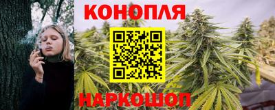a pvp Кудрово