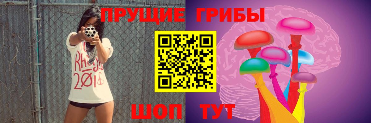 Галлюциногенные грибы MAGIC MUSHROOMS  Псилоцибиновые грибы Psilocybine cubensis  Лениногорск  Вход с VPN 
